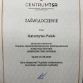 Powiększ obraz: certificate 2