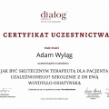 Powiększ obraz: certificate 2