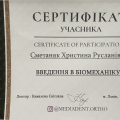 Powiększ obraz: certificate 5