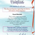Powiększ obraz: certificate 12