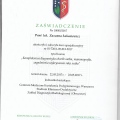 Powiększ obraz: certificate 2