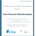 Powiększ obraz: certificate 3