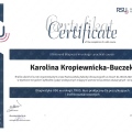 Powiększ obraz: certificate 1