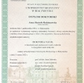 Powiększ obraz: certificate 2
