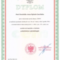 Powiększ obraz: certificate 1
