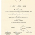 Powiększ obraz: certificate 1