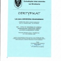 Powiększ obraz: certificate 8