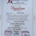 Powiększ obraz: certificate 6