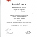 Powiększ obraz: certificate 11