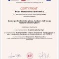 Powiększ obraz: certificate 7