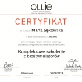 Powiększ obraz: certificate 4