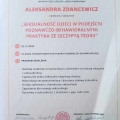 Powiększ obraz: certificate 10
