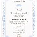 Powiększ obraz: certificate 6