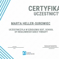 Powiększ obraz: certificate 15