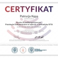 Powiększ obraz: certificate 6