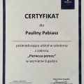 Powiększ obraz: certificate 3