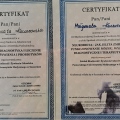 Powiększ obraz: certificate 37