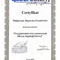 Powiększ obraz: certificate 12