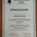 Powiększ obraz: certificate 8