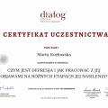 Powiększ obraz: certificate 4