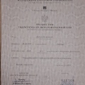 Powiększ obraz: certificate 7