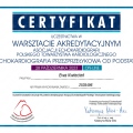 Powiększ obraz: certificate 13