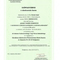 Powiększ obraz: certificate 9