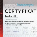 Powiększ obraz: certificate 4