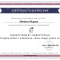 Powiększ obraz: certificate 4