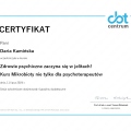 Powiększ obraz: certificate 39