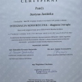 Powiększ obraz: certificate 9