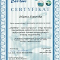 Powiększ obraz: certificate 2