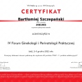 Powiększ obraz: certificate 9