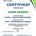 Powiększ obraz: certificate 8