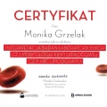 Powiększ obraz: certificate 13