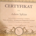 Powiększ obraz: certificate 7