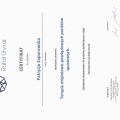 Powiększ obraz: certificate 9