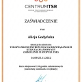 Powiększ obraz: certificate 2