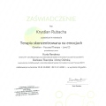 Powiększ obraz: certificate 11