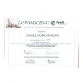 Powiększ obraz: certificate 28