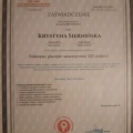 Powiększ obraz: certificate 9
