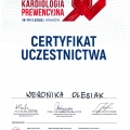 Powiększ obraz: certificate 8