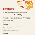 Powiększ obraz: certificate 14