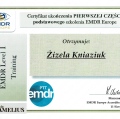 Powiększ obraz: certificate 1