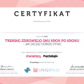 Powiększ obraz: certificate 2