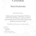 Powiększ obraz: certificate 44