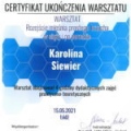 Powiększ obraz: certificate 2