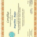 Powiększ obraz: certificate 4