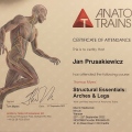 Powiększ obraz: certificate 4