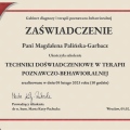 Powiększ obraz: certificate 11